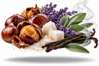 No. 58 Chestnuts Roasting